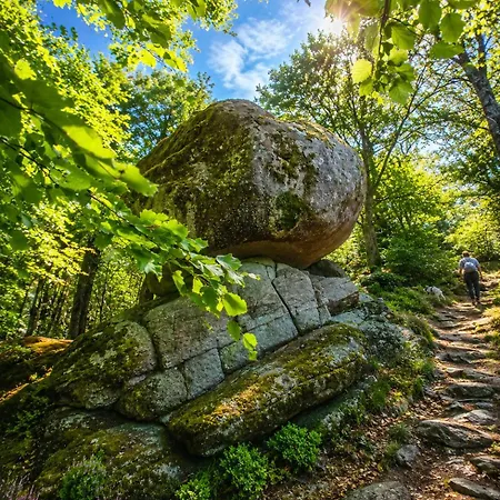 Alpenblick Familienfreundlich Hunde Willkommen Terrasse דירה Rickenbach (Baden-Wurttemberg)