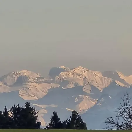 Alpenblick Familienfreundlich Hunde Willkommen Terrasse דירה *